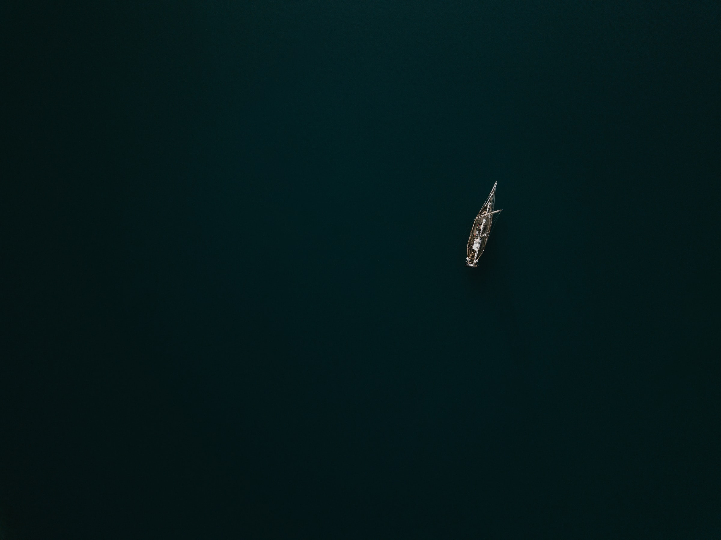 annie-spratt-J3aMmCvu9Sg-unsplash(1)
