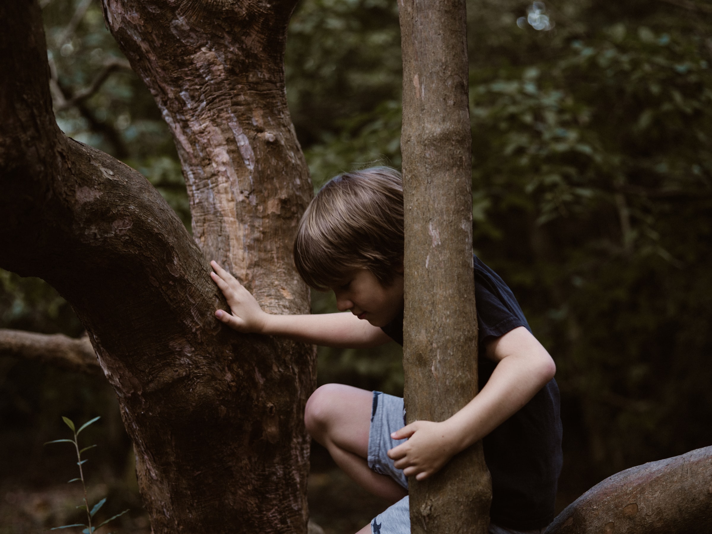 annie-spratt-JRjjspcCf_A-unsplash