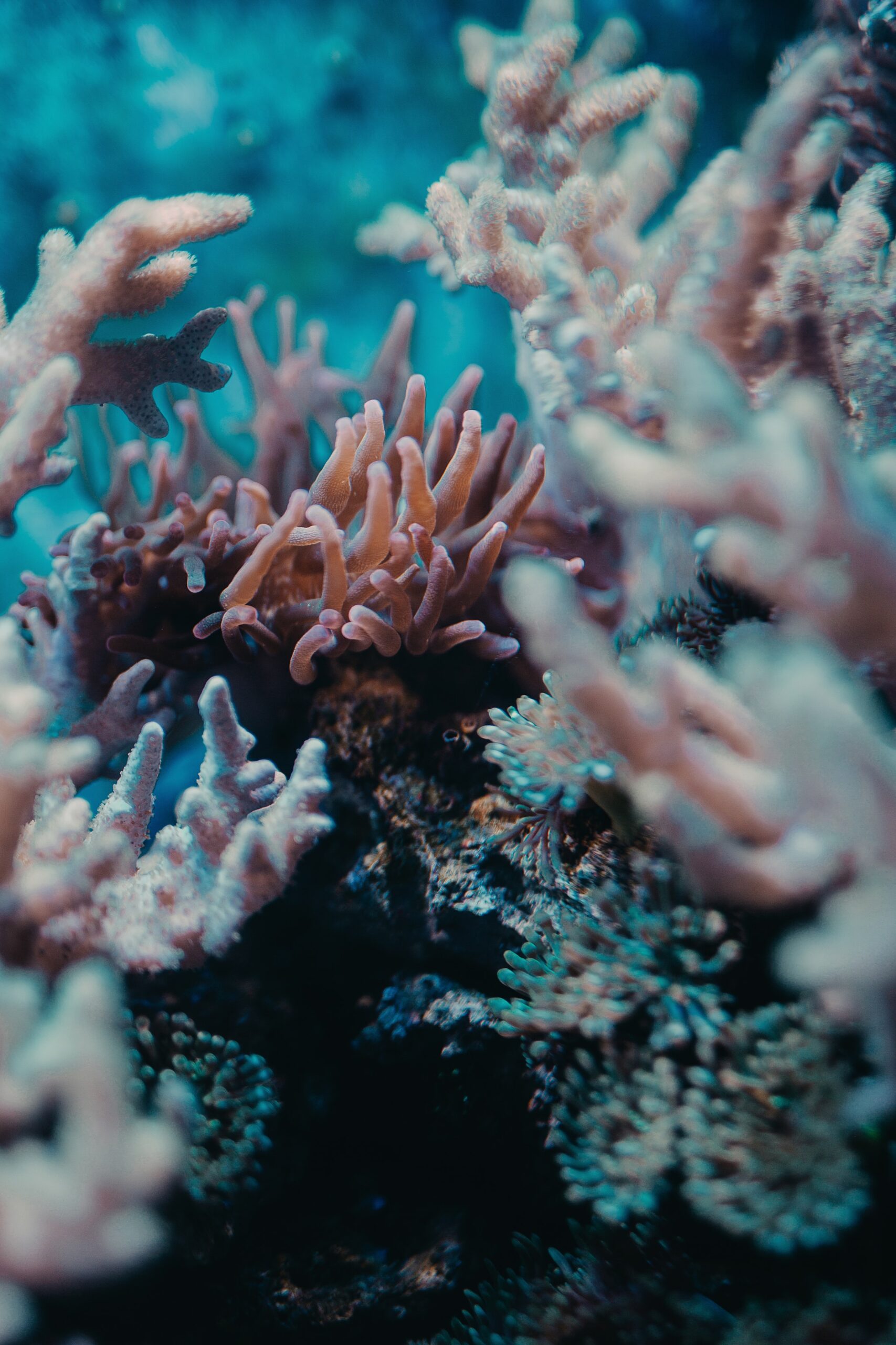 chris-reyem-ED8ZbWbvwuw-unsplash